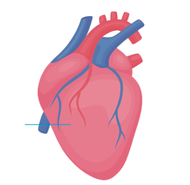 Hearth
